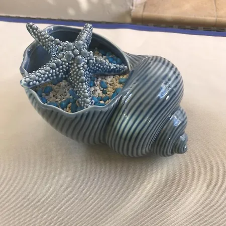 La Conchiglia