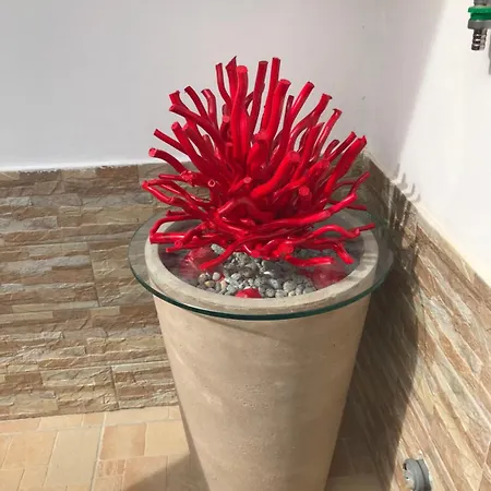 La Conchiglia B&B 4*