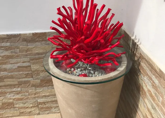 La Conchiglia Nocleg ze śniadaniem 4*